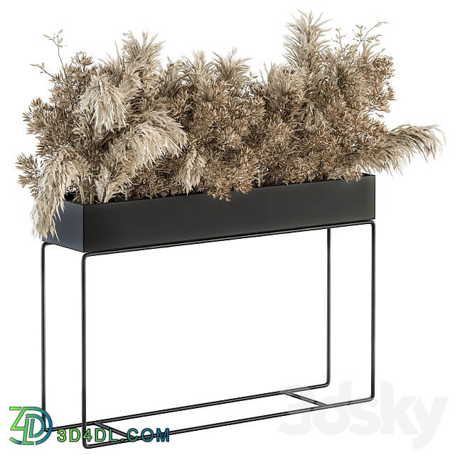 indoor Plant Set 117 Dried Plant box