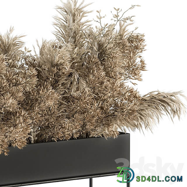 indoor Plant Set 117 Dried Plant box