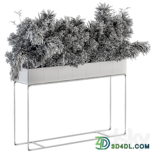 indoor Plant Set 117 Dried Plant box