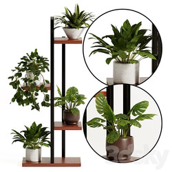 Plant stand flower pot 