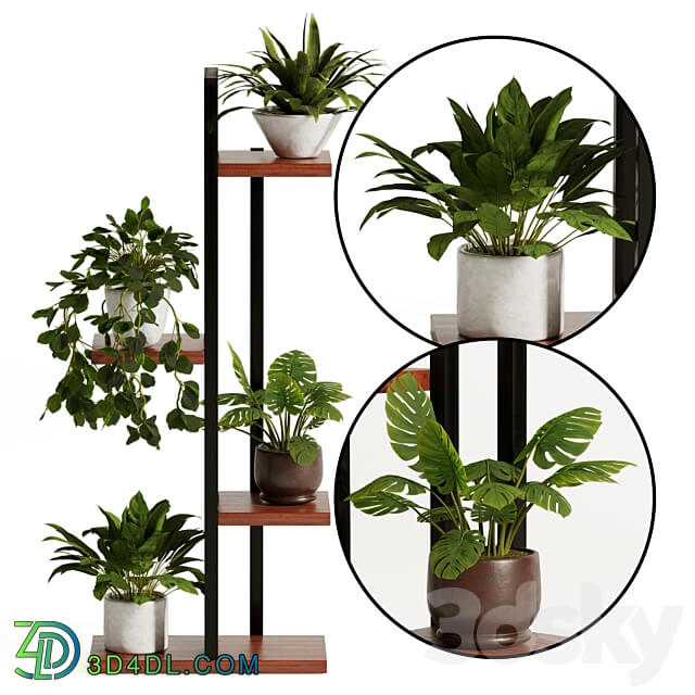 Plant stand flower pot