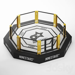 MMA arena octagon 