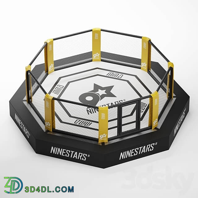 MMA arena octagon