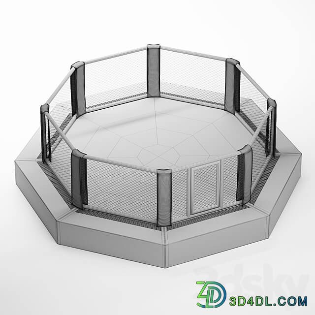 MMA arena octagon