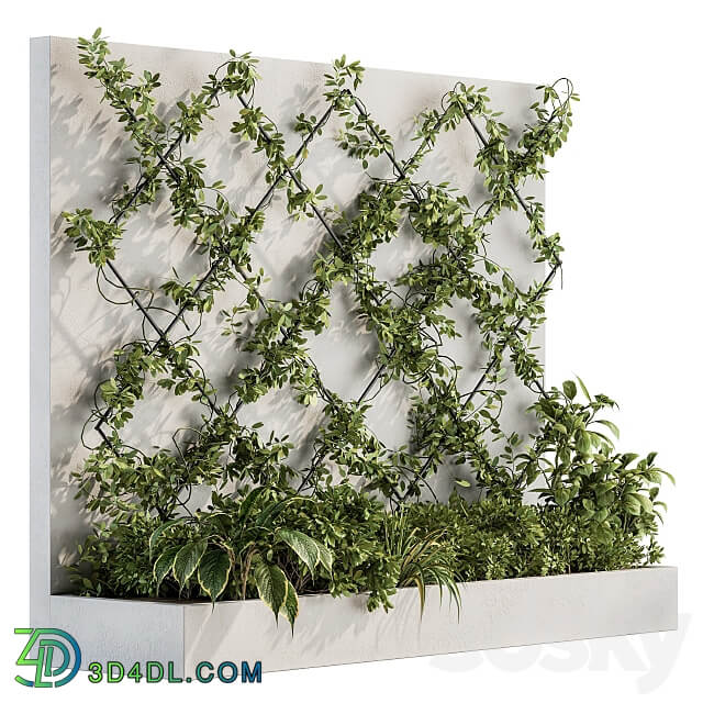 Fitowall Vertical Garden Wall Decor 24