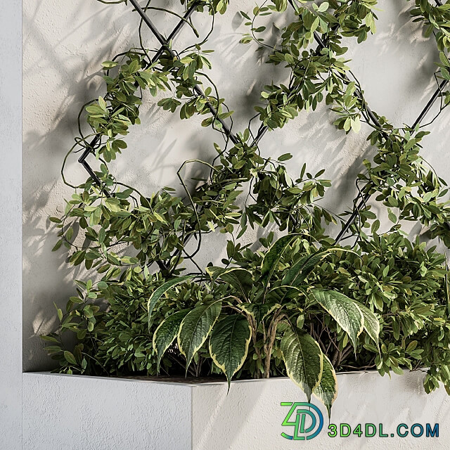 Fitowall Vertical Garden Wall Decor 24