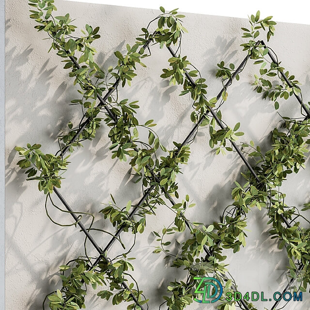 Fitowall Vertical Garden Wall Decor 24