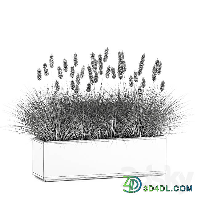 Plant collection 905. pampas grass flowerpot landscaping flowerbed rust industrial style 3D Models