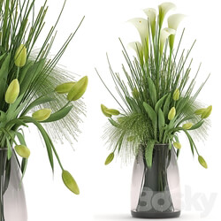 Bouquet 115. Spring bouquet tulip Calla vase Zantedeschia green flowers 3D Models 