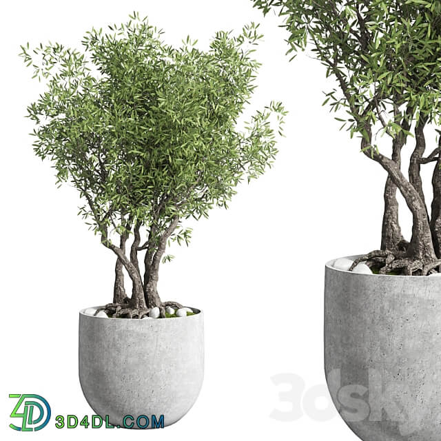 Outdoor plant 28 concrete vase