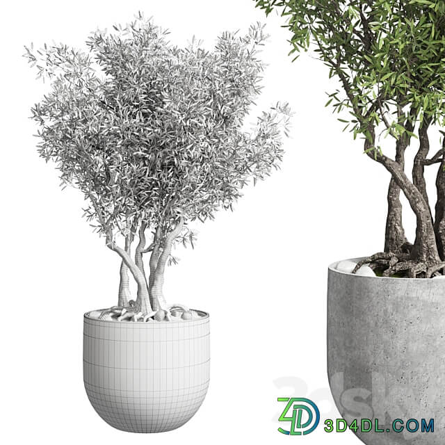 Outdoor plant 28 concrete vase