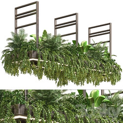 Indoor Plant Vol2 hanging pot Vol2 