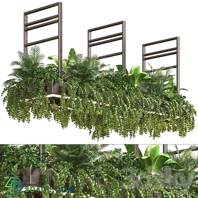 Indoor Plant Vol2 hanging pot Vol2