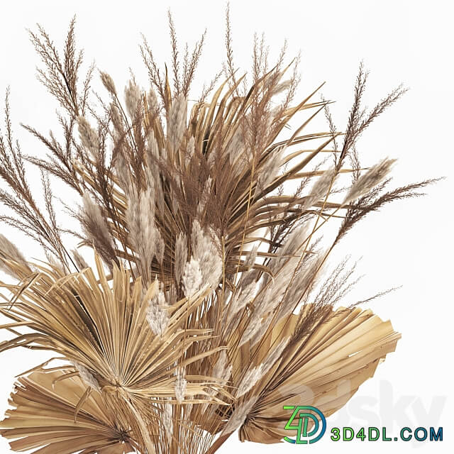 Bouquet 150. Pampas grass branches vase palm leaf dried flower luxury decor natural decor glass table decoration 3D Models