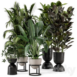 Indoor Plants in rusty Concrete Pot on Metal Shelf Set 242 