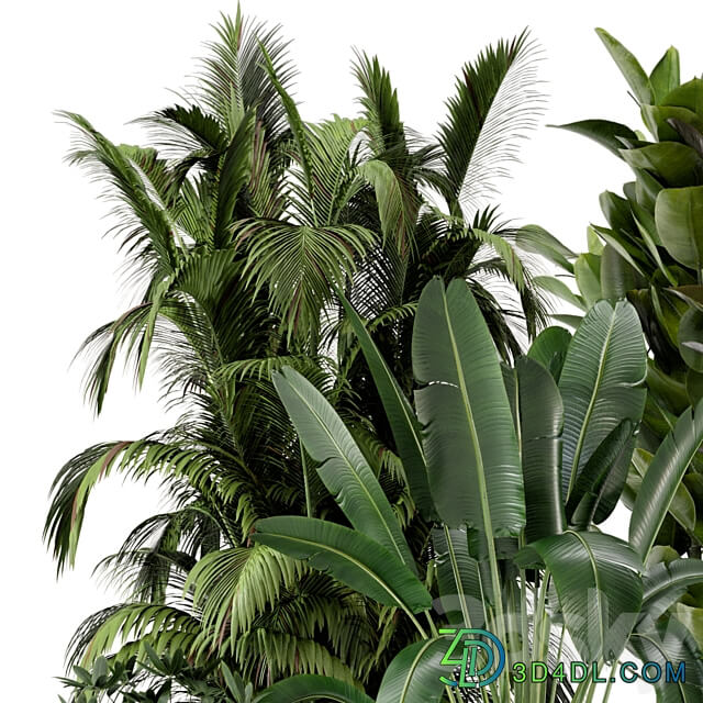 Indoor Plants in rusty Concrete Pot on Metal Shelf Set 242