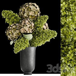 Bouquet Hydrangea 169. Lilac hydrangea green flowers luxury decor loft black vase 3D Models 