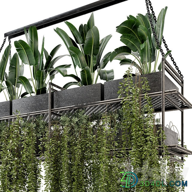 Indoor Hanging Plants in Metal Box Set 269 3D Models 3DSKY