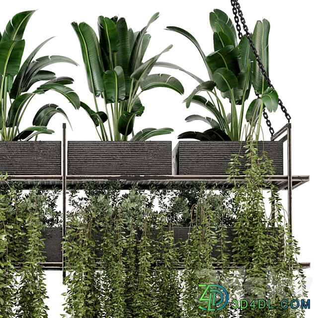 Indoor Hanging Plants in Metal Box Set 269 3D Models 3DSKY