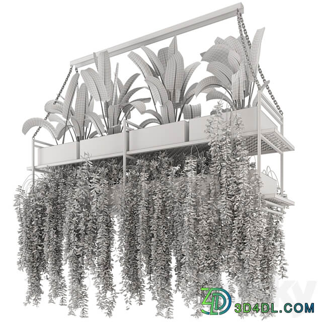 Indoor Hanging Plants in Metal Box Set 269 3D Models 3DSKY