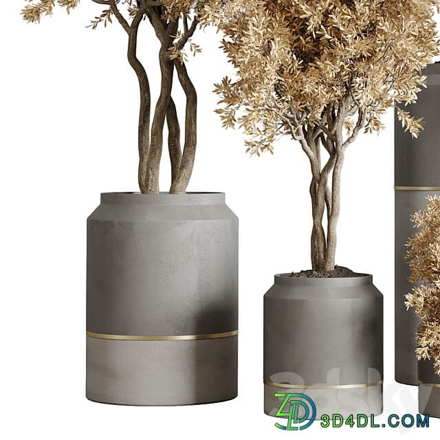 collection autumn leaves Indoor plant 128 dirty concrete pots dry plants corona 3D Models 3DSKY