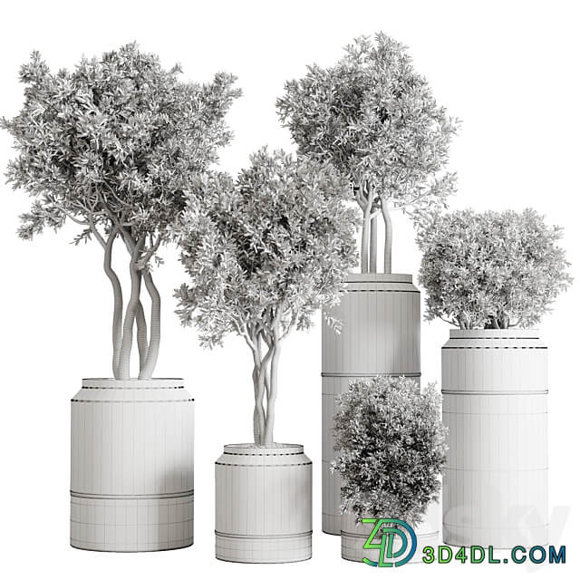 collection autumn leaves Indoor plant 128 dirty concrete pots dry plants corona 3D Models 3DSKY