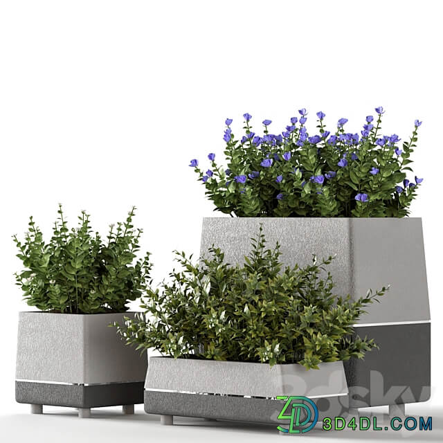 Outdoor bushes in concrete pots 3D Models 3DSKY