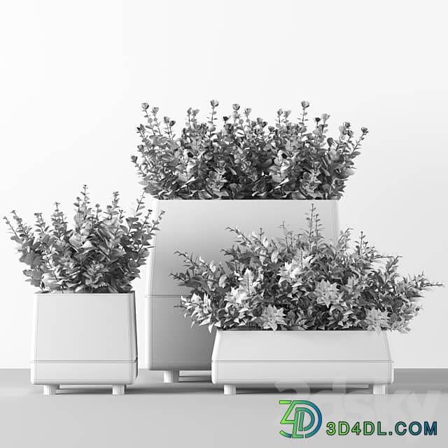 Outdoor bushes in concrete pots 3D Models 3DSKY