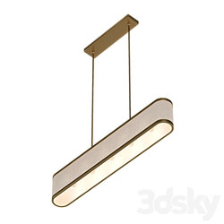 Linear Pendant by Anthropologie Pendant light 3D Models 