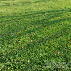 Cut grass 3D Models 3DSKY 