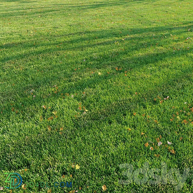 Cut grass 3D Models 3DSKY