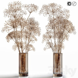 Dry flowers 7 Heracleum 3D Models 3DSKY 