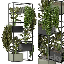 indoor plants in rusty concrete pot on metal shelf Set 122 3D Models 3DSKY 