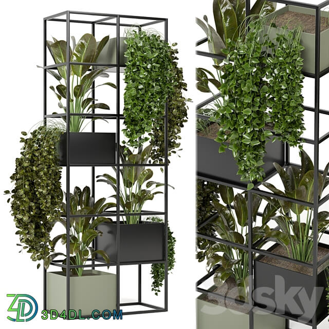 indoor plants in rusty concrete pot on metal shelf Set 122 3D Models 3DSKY