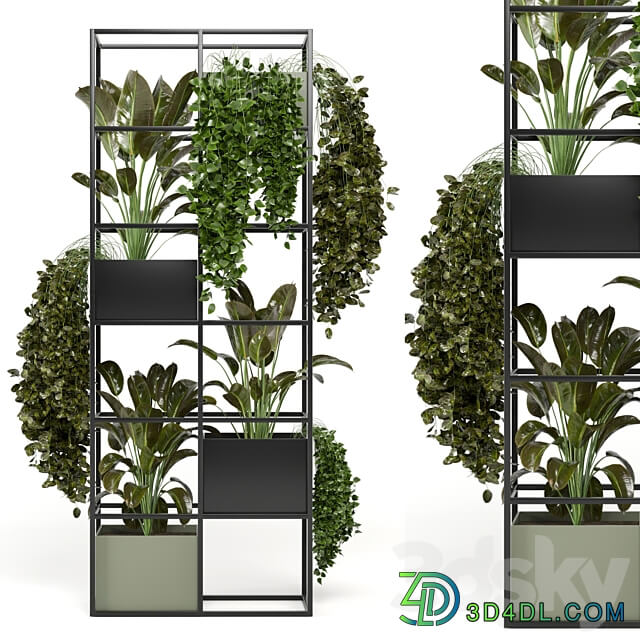 indoor plants in rusty concrete pot on metal shelf Set 122 3D Models 3DSKY