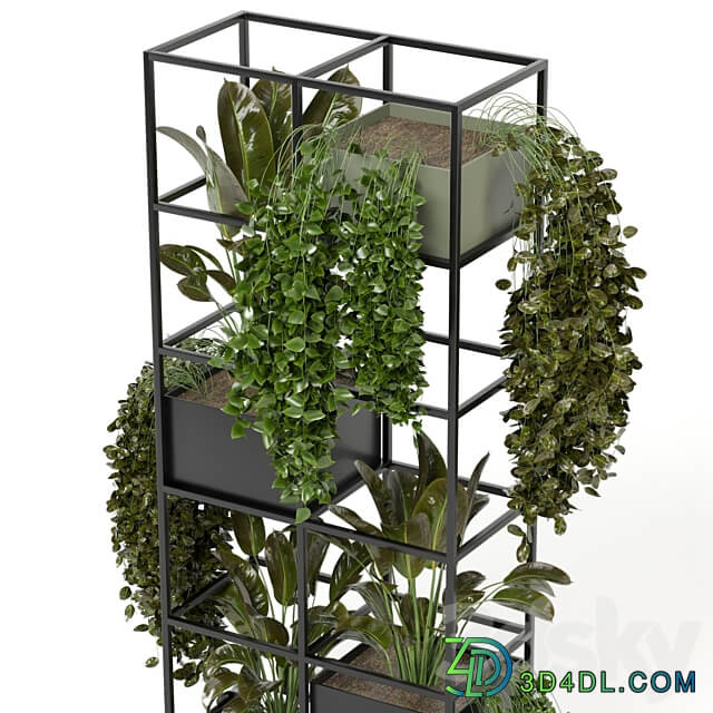 indoor plants in rusty concrete pot on metal shelf Set 122 3D Models 3DSKY