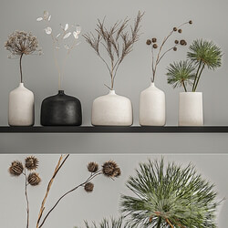 Bouquets set 210. Dried flower vase decor shelf branches thorns moonflower cow parsnip dry natural decor eco design Heracleum 3D Models 