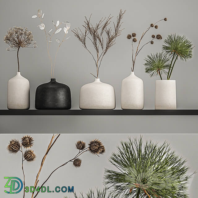 Bouquets set 210. Dried flower vase decor shelf branches thorns moonflower cow parsnip dry natural decor eco design Heracleum 3D Models