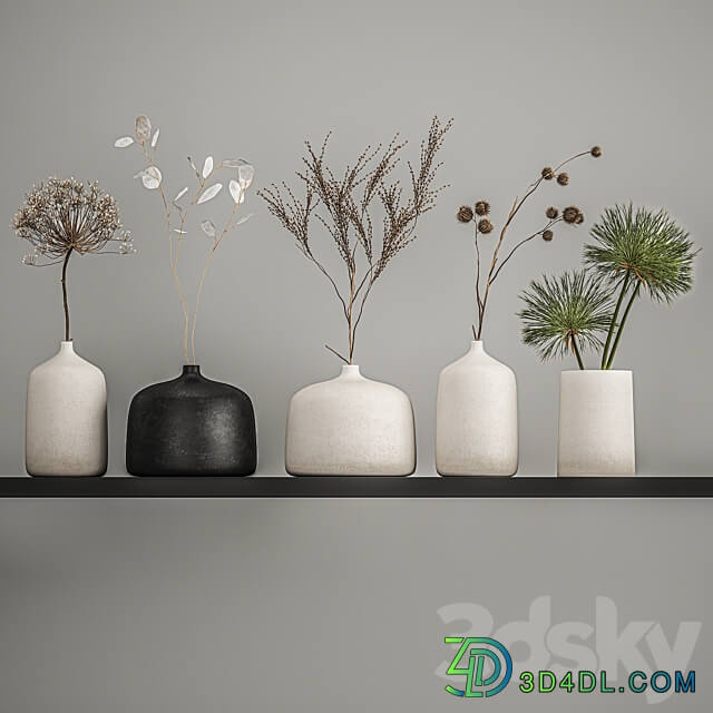 Bouquets set 210. Dried flower vase decor shelf branches thorns moonflower cow parsnip dry natural decor eco design Heracleum 3D Models