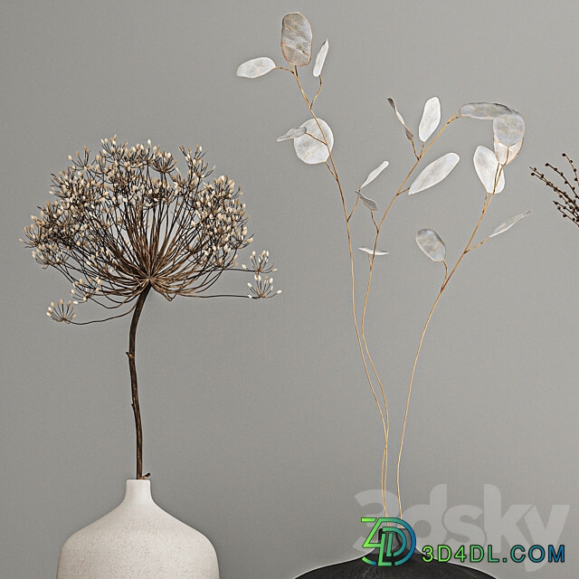 Bouquets set 210. Dried flower vase decor shelf branches thorns moonflower cow parsnip dry natural decor eco design Heracleum 3D Models