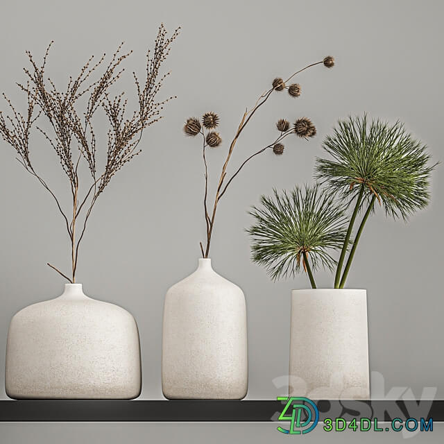 Bouquets set 210. Dried flower vase decor shelf branches thorns moonflower cow parsnip dry natural decor eco design Heracleum 3D Models