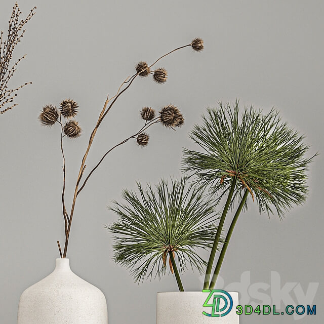 Bouquets set 210. Dried flower vase decor shelf branches thorns moonflower cow parsnip dry natural decor eco design Heracleum 3D Models