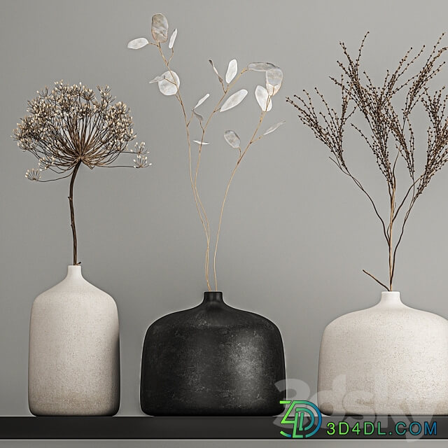 Bouquets set 210. Dried flower vase decor shelf branches thorns moonflower cow parsnip dry natural decor eco design Heracleum 3D Models