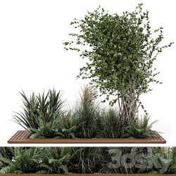 Outdoor Garden set bush and Tree Garden Set 361 3D Models 3DSKY 