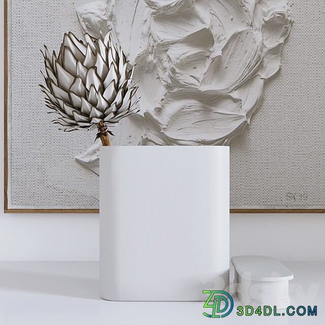 Decorative set with Protea and Plaster panel 3D Models