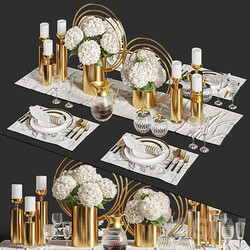 Dinner Table Set 01 3D Models 