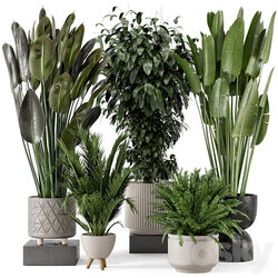 Indoor Plants in rusty Concrete Pot Set 542 3D Models 