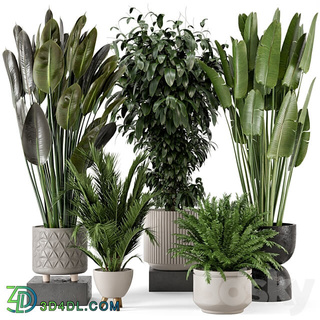 Indoor Plants in rusty Concrete Pot Set 542 3D Models