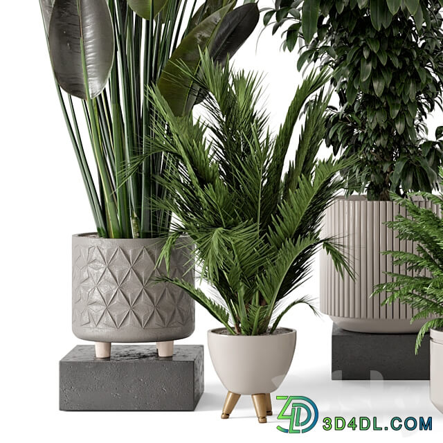 Indoor Plants in rusty Concrete Pot Set 542 3D Models