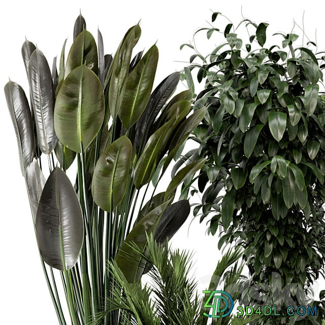 Indoor Plants in rusty Concrete Pot Set 542 3D Models